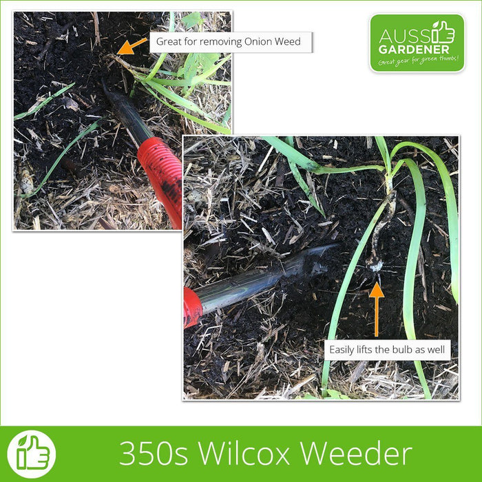 Wilcox Weeder in action - Stainless steel - Made in USA