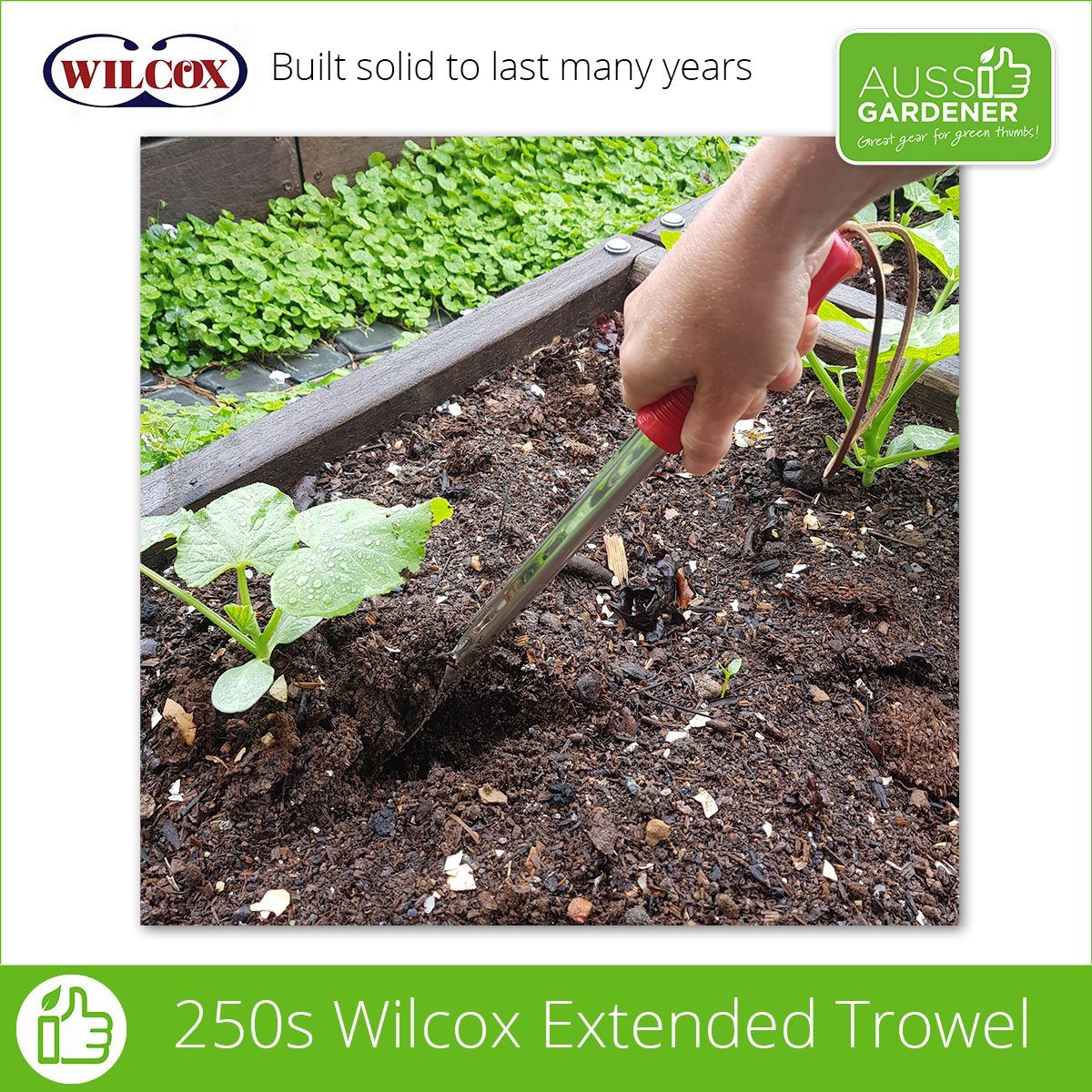 Wilcox All Pro 4 pack Willcox All-Pro Tools 