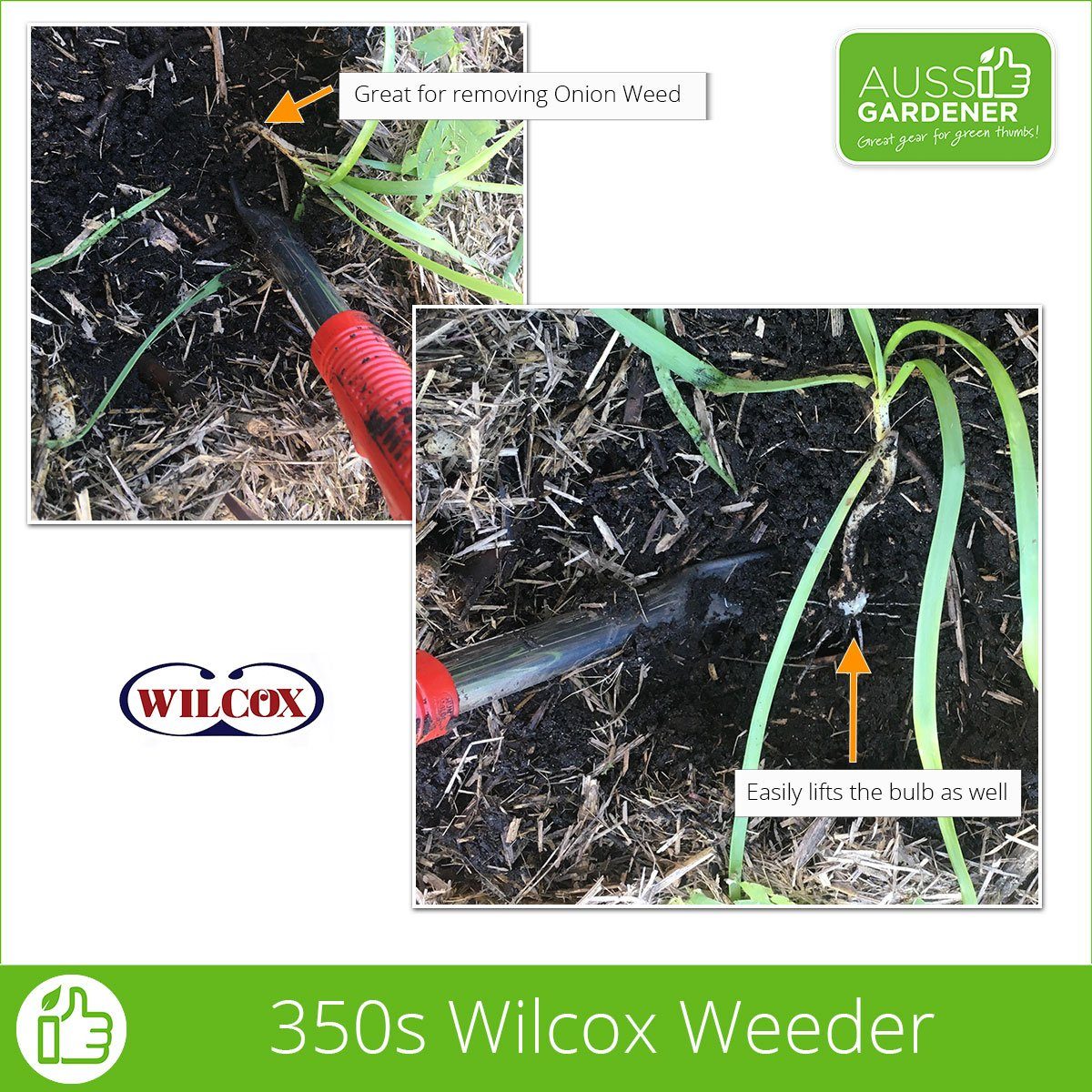 Wilcox All Pro 4 pack Willcox All-Pro Tools 