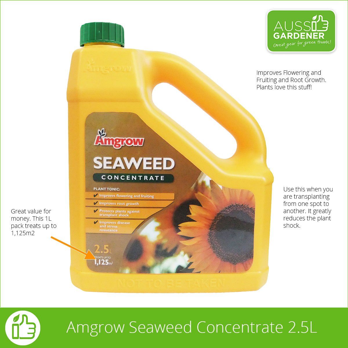 Amgrow Seaweed Amgrow Concentrate fertilisers AMGROW 