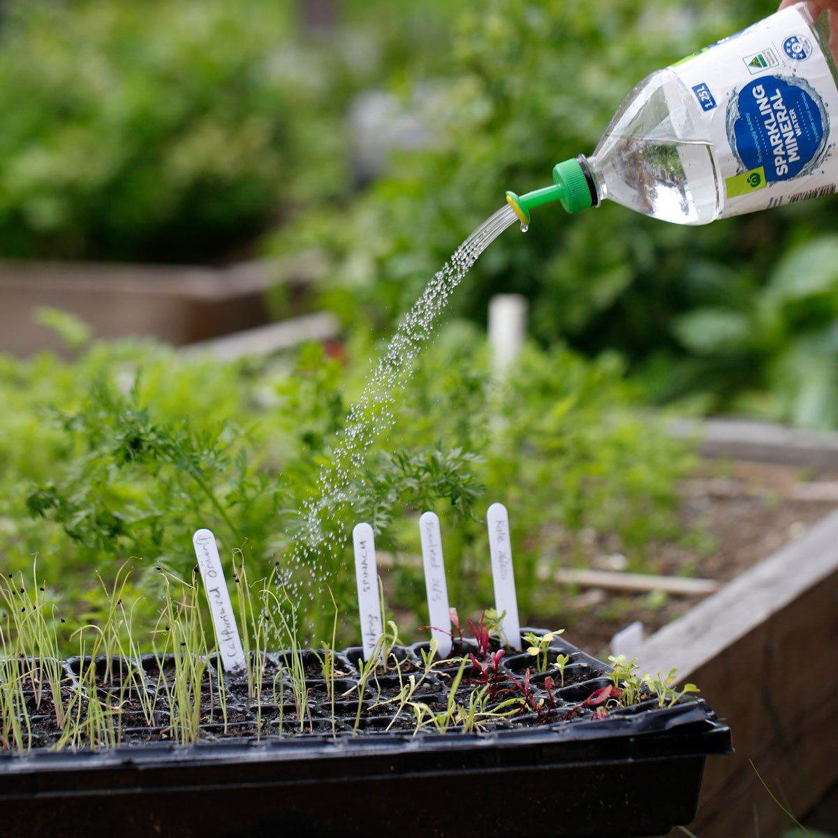 Aussie Gardener Bottle Top Sprinkler Pack Of 3 propagation Rapitech 