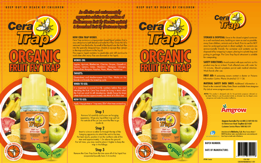 Amgrow Cera Trap Buy Amgrow Cera Organic Fruit Fly Trap Aussie