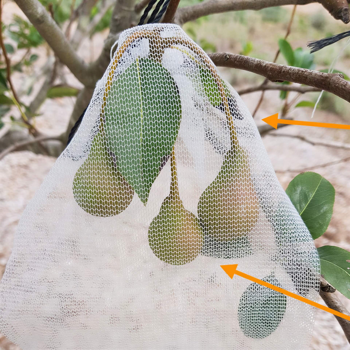 Fruit Protection Bags (Pack OF 10) pest control RYSET 