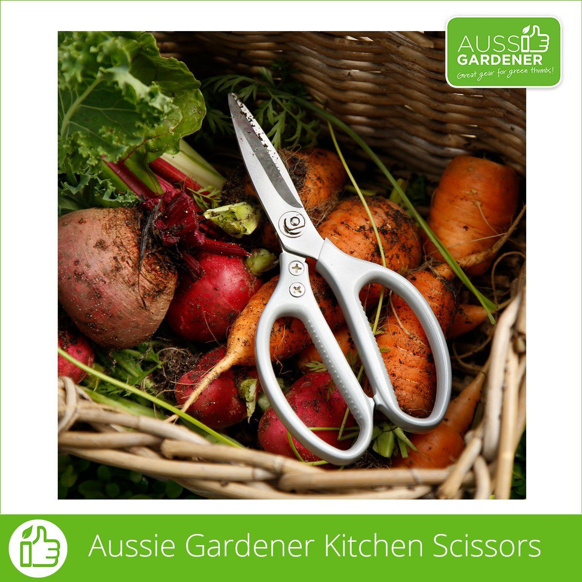 Apron PLUS Tool Set Package (Apron, Scissors, Secateurs, 3 pr Gloves) [Hidden] Aussie Gardener - Power Planter Australia 