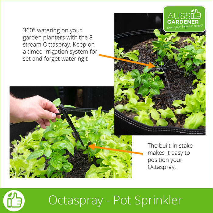 Aussie Gardener Octaspray and microtubing. Watering vegetables in a pot.