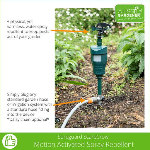Product photo of SureGuard Scarecrow Motion Activated Spray Repellent with Aussie Gardener branding. The device is connected to a hose and is shown in a garden setting. The device has a built-in sensor that sprays water to scare away unwanted animals