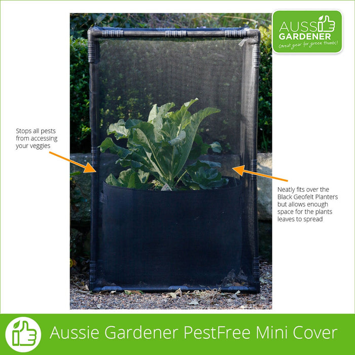 Photo of the PestFree Mini Cover protecting a GeoFelt Planter bag with an arrow pointing to it saying "It stops all pests from accessing your veggies" and a second arrow saying "It neatly fits over the Black GeoFelt Planters but allows enough space for the plant leaves to spread".