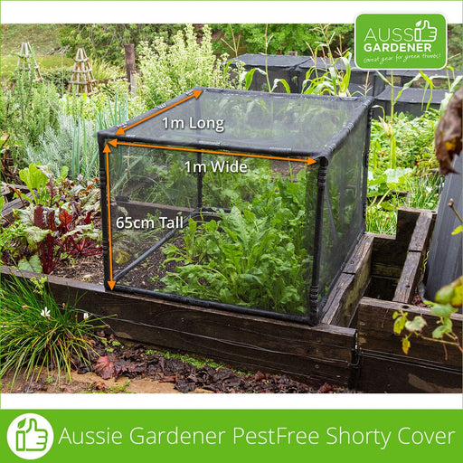 Picture showing Aussie Gardener PestFree Shorty Insect Net Cover for protecting growing vegetables.  65cm tall, 1m long and 1m wide.