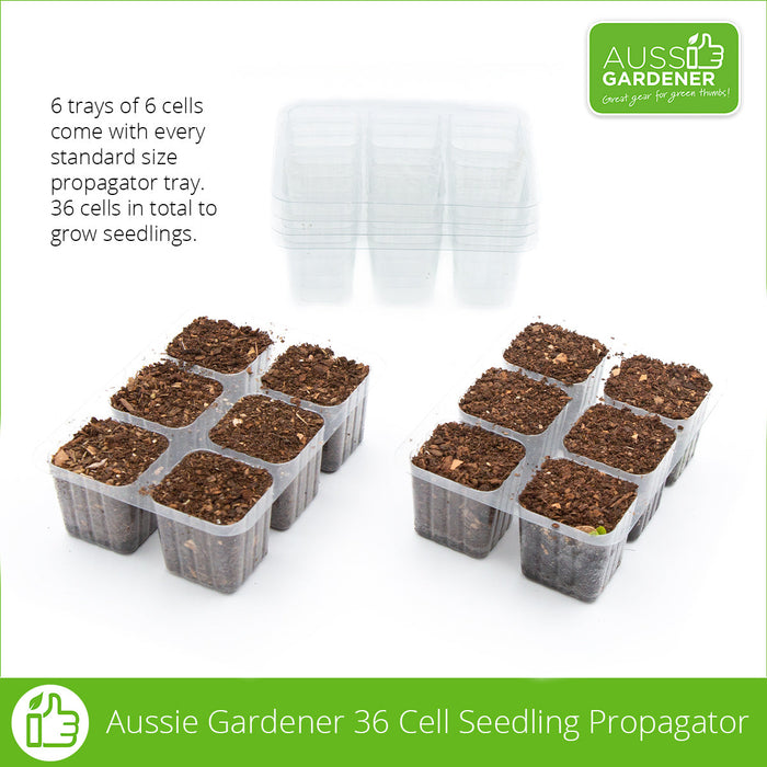 Propagator - Buy a 36 Cell Seedling Propagator Online — Aussie Gardener