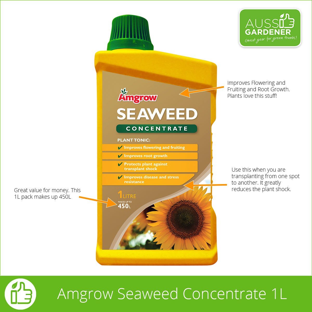 Amgrow Seaweed Amgrow Concentrate fertilisers AMGROW 