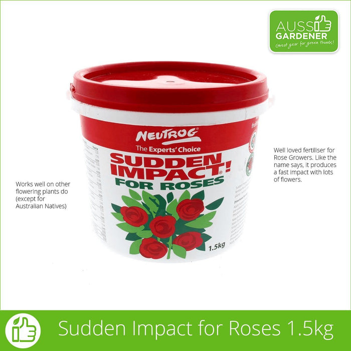 Sudden Impact For Roses