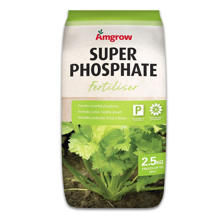 Amgrow Super Phosphate Amgrow 2.5Kg