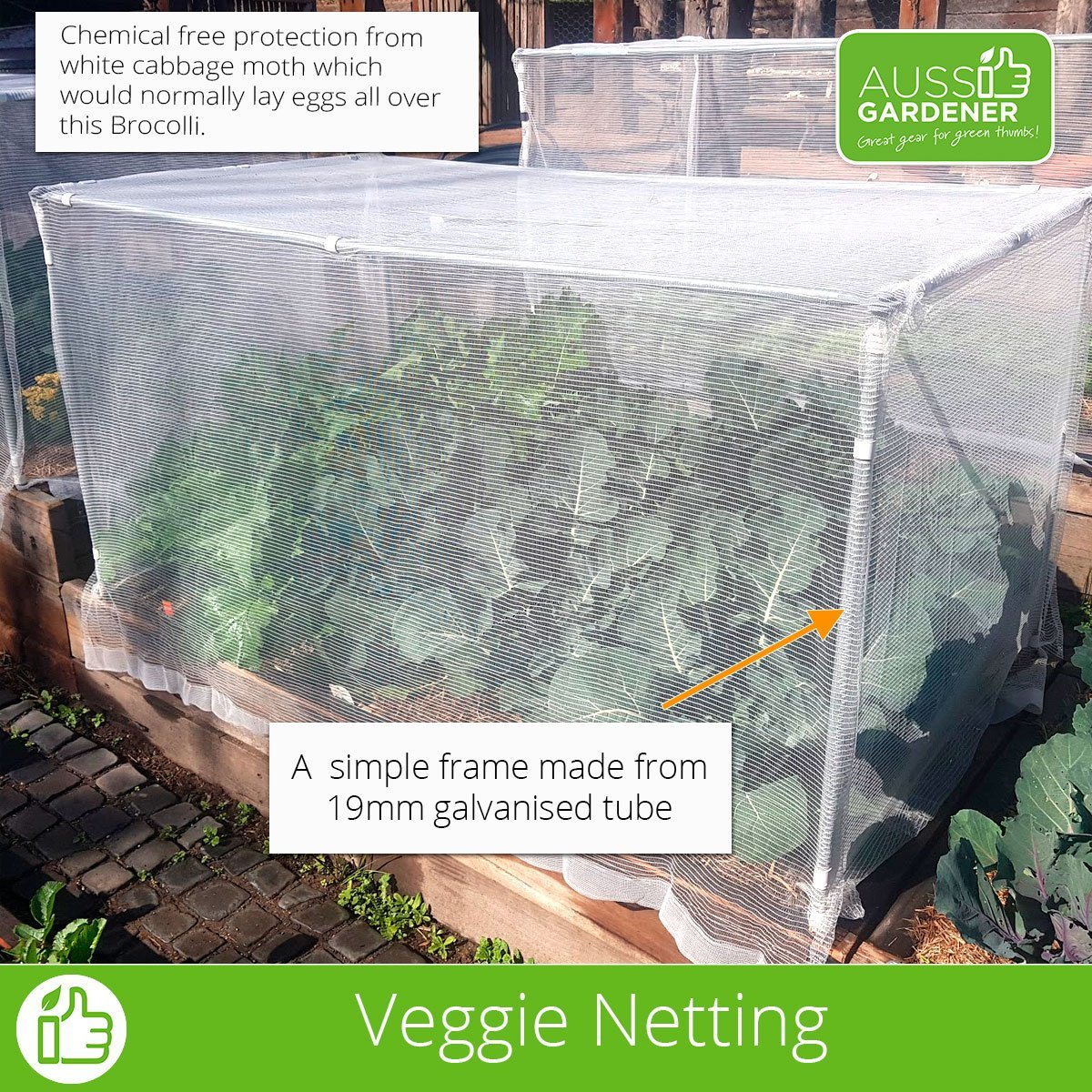 Netting - 2MM Woven Veggie Net 6MX6M veggie growing RYSET 