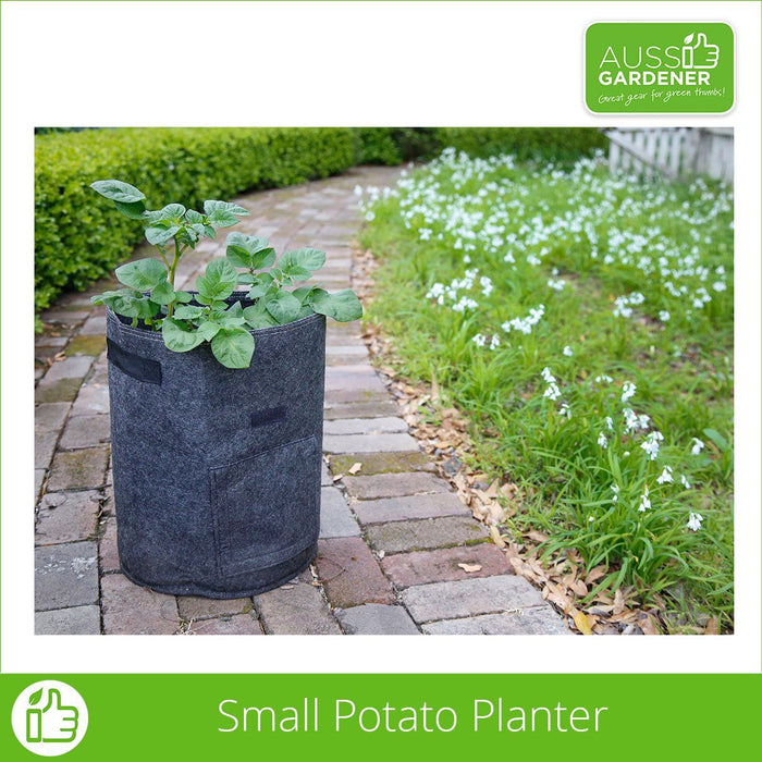 Photo of  potato bags growing. This one is the small potato bag with the backdrop of a winding brick footpath and flowers to the side.