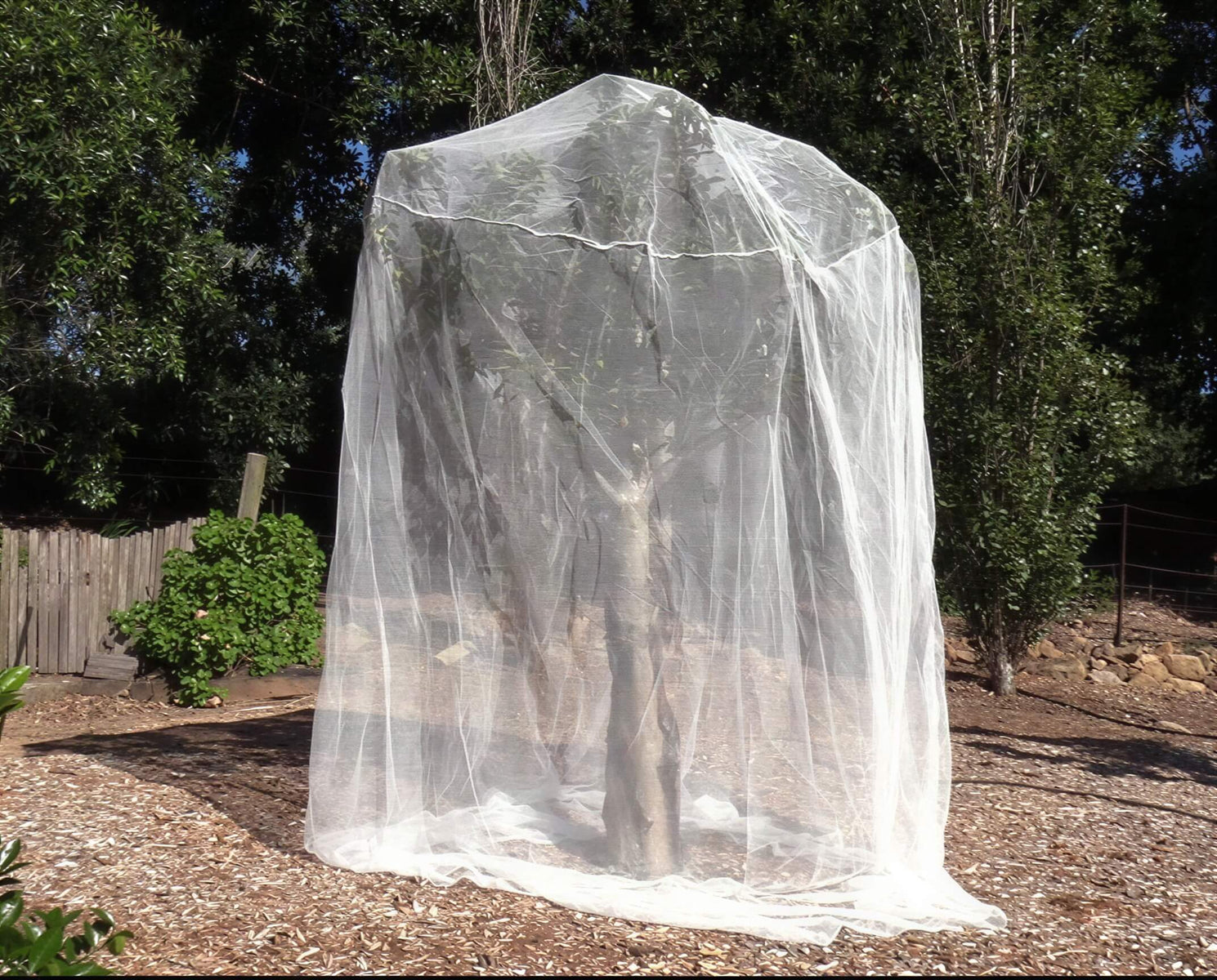 Netting - Fitted insect net (2.4m width x 2.8m high) 2MM Woven Insect Net veggie growing RYSET 
